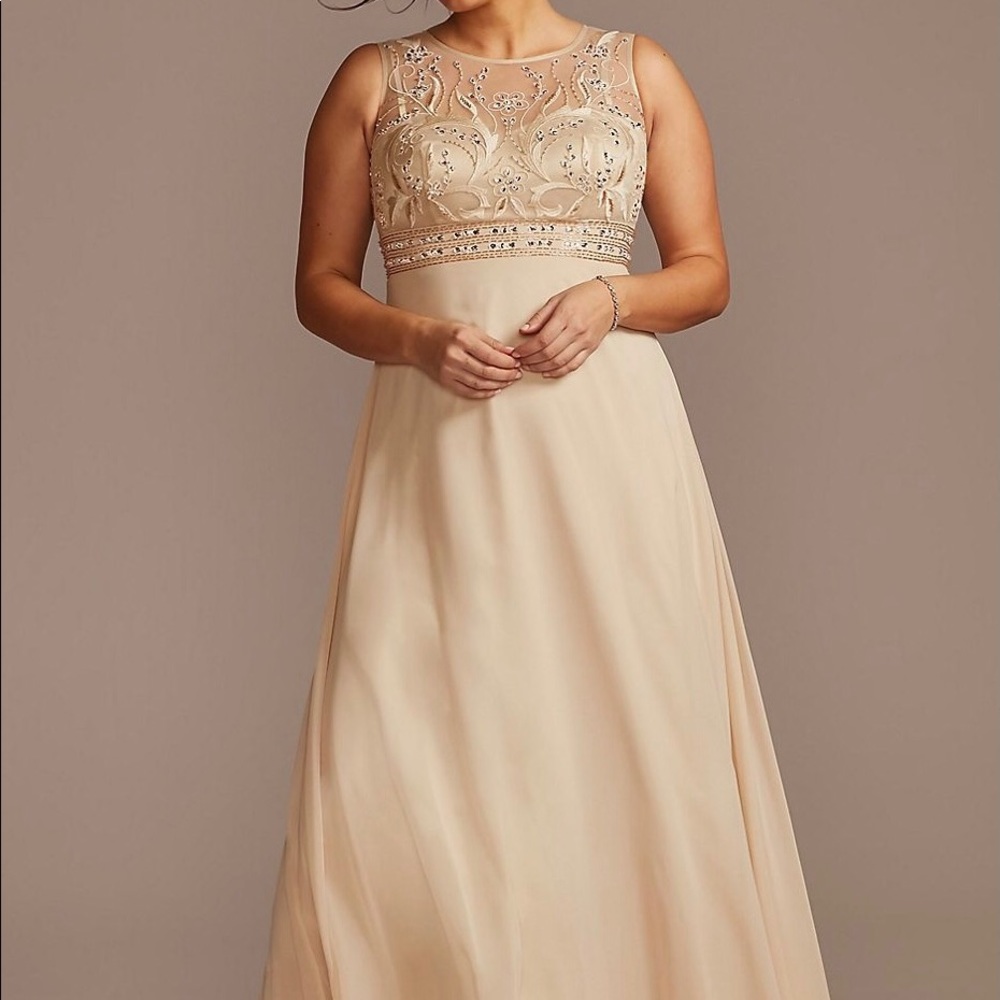 Embellished Illusion Bodice A-Line Plus Size Gown
